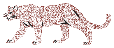 MEHVAR Emblem